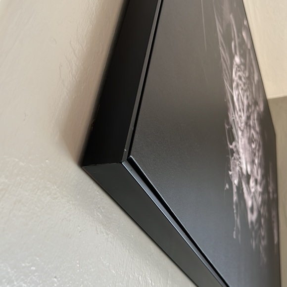 Cougar Frame - Picture 2 of 4